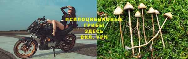 герыч Сафоново
